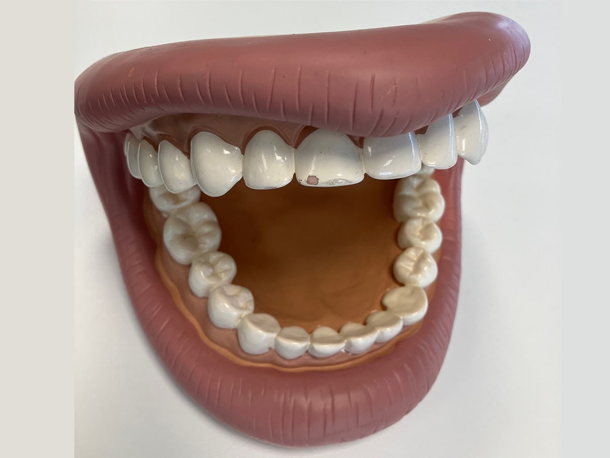 Baylab-Mouth