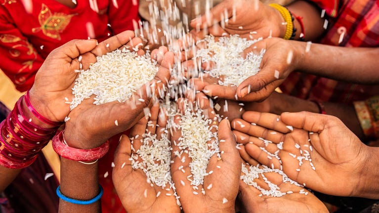 Rice in childrens hands 0
