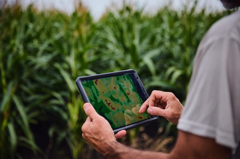farmer-with-tablet-in-a-cornfield-2.jpg