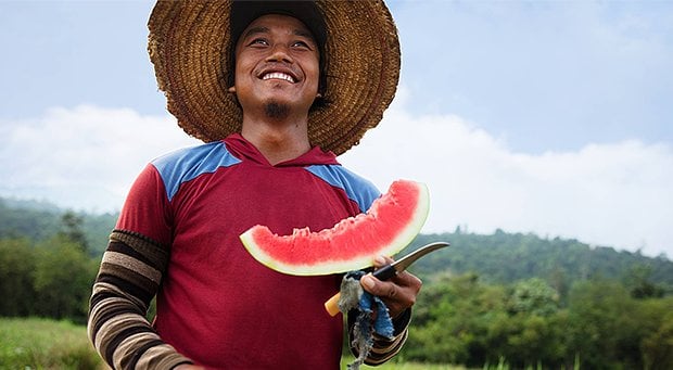 1_farm_worker_eating_a_melon_620x341.jpg