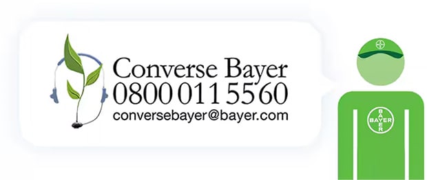 converse-bayer.jpg