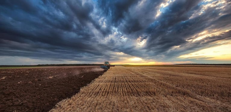 Tractor trabaja un campo agrícola al atardecer, arando el suelo junto a un terreno cosechado bajo un cielo nublado, agricultura sostenible.