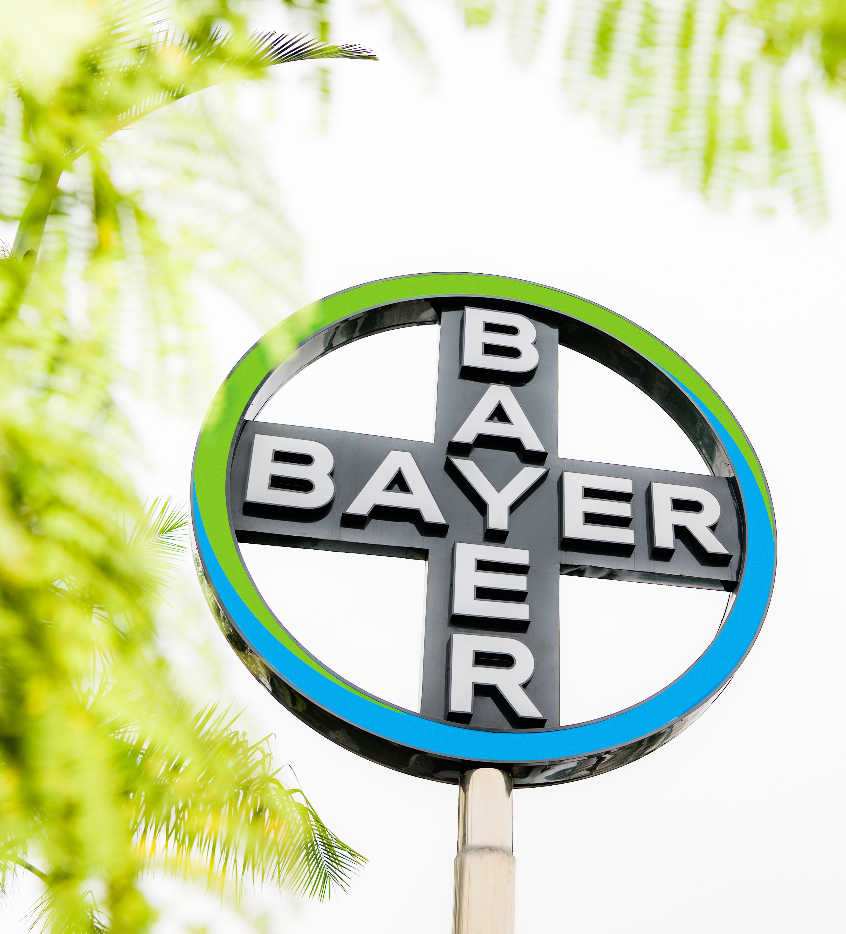 bayer_cross_in_guangzhou_1.jpg