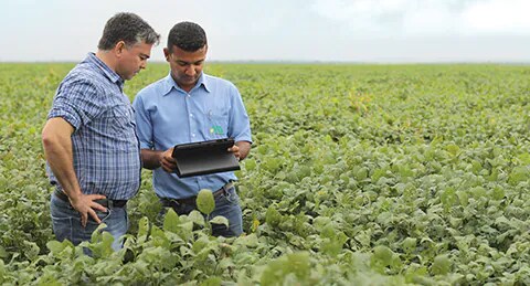 bayer-cropscience-compromissos-interna-5.jpg