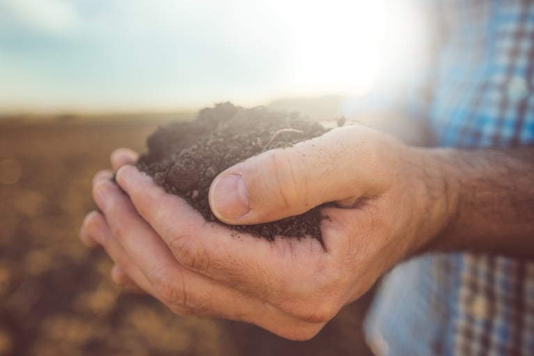 hands_holding_soil_2.jpg