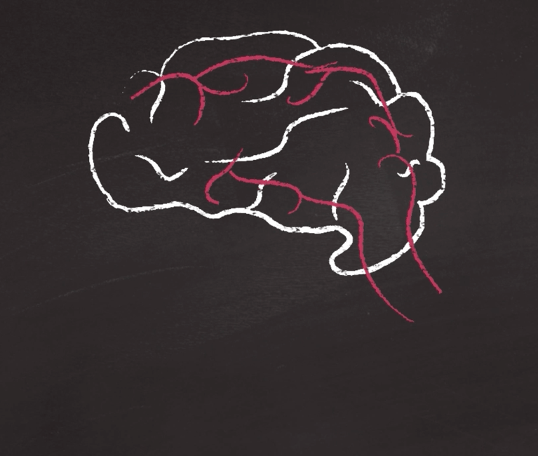 Brain