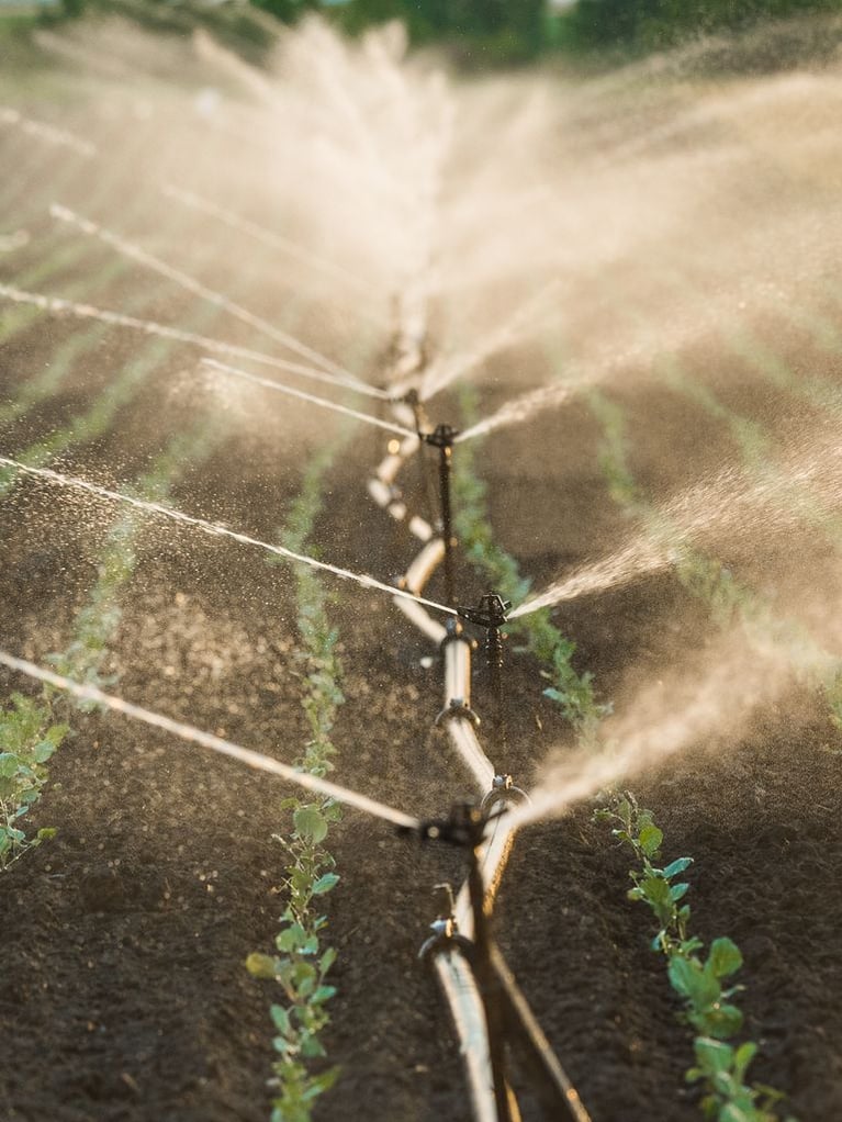 irrigation_in_a_soy_field.jpeg