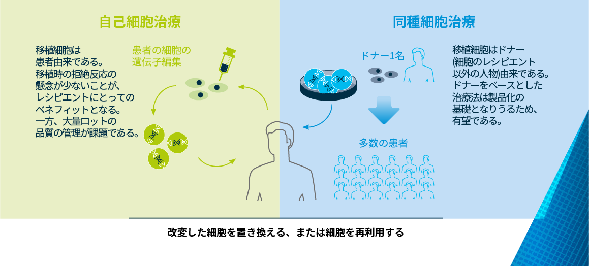 cell-2.png