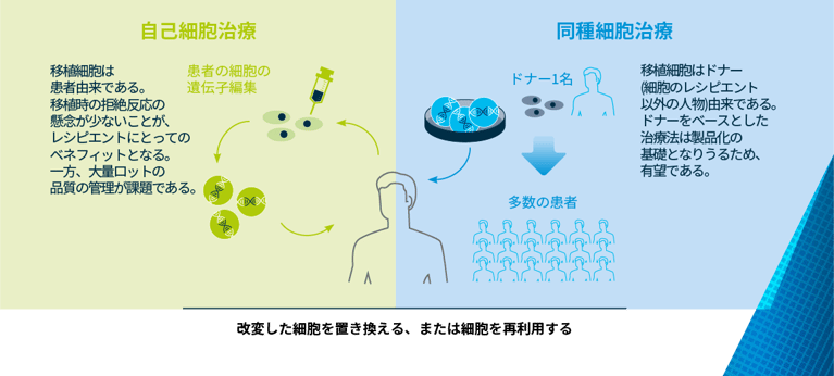 cell-2.png