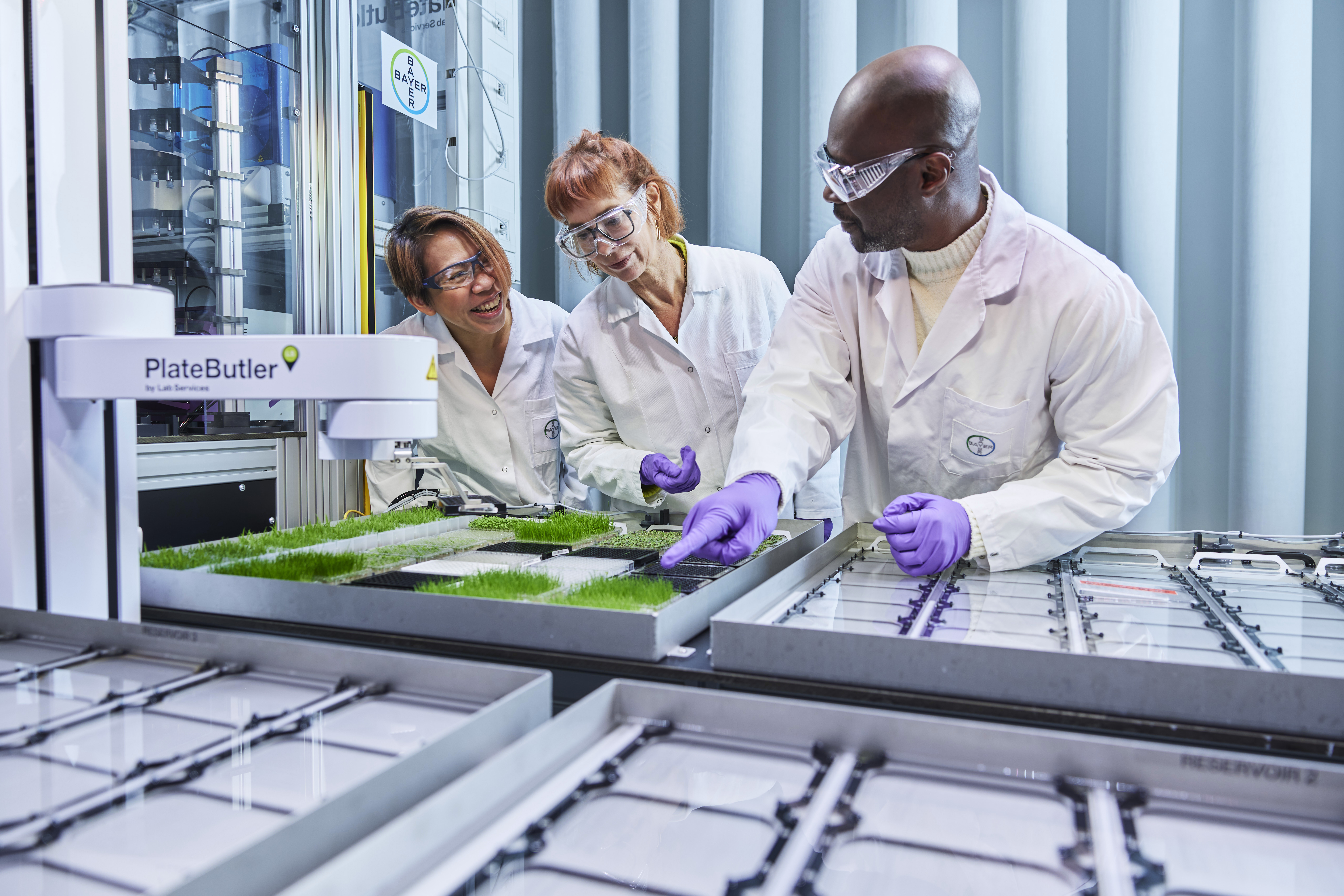researchers-at-phenotyping-platform-6.jpg