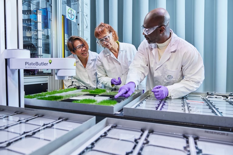 researchers-at-phenotyping-platform-6.jpg