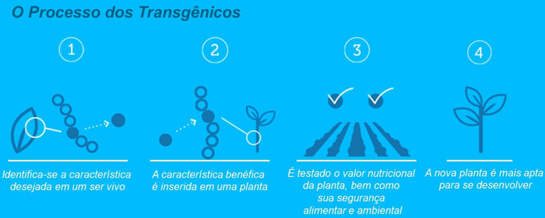 transgenicos-3-1.png