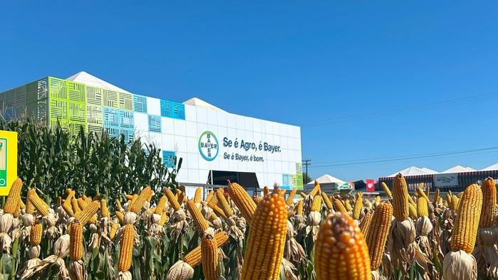 bayer inova solucoes protecao cultivos sementes ponta show rural coopavel