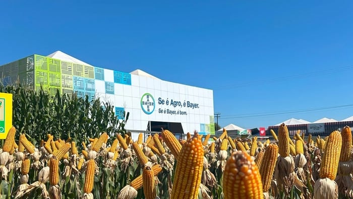 bayer inova solucoes protecao cultivos sementes ponta show rural coopavel