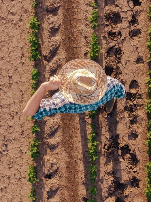 Farmer