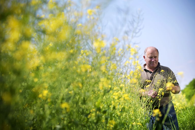 farmer inspecting crop 1