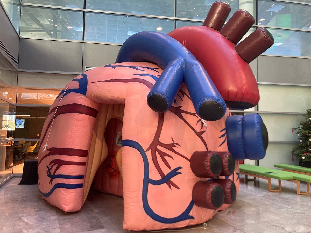 Baylab - Inflatable heart