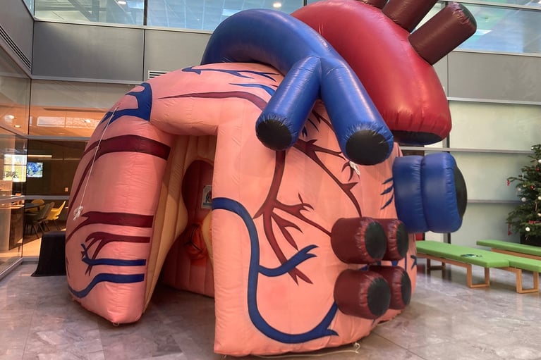 Baylab - Inflatable heart