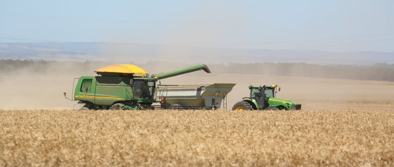 Julia header picture .jpg