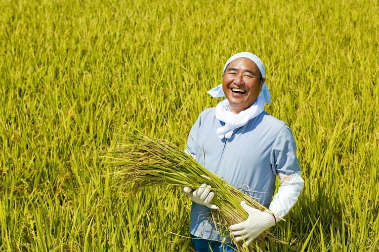 Smiling asian farmer in the field 1