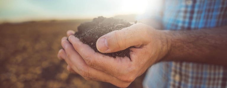 wide-image-hands-holding-soil-1440x558.jpg