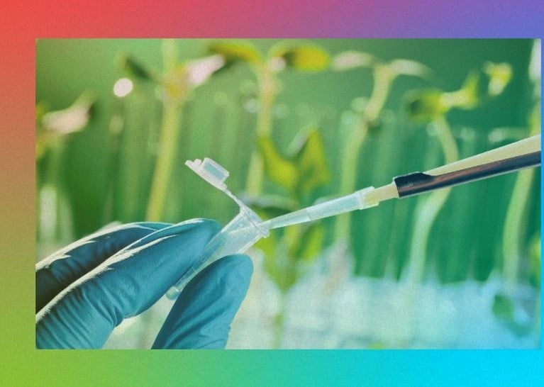 hand taking plant sample