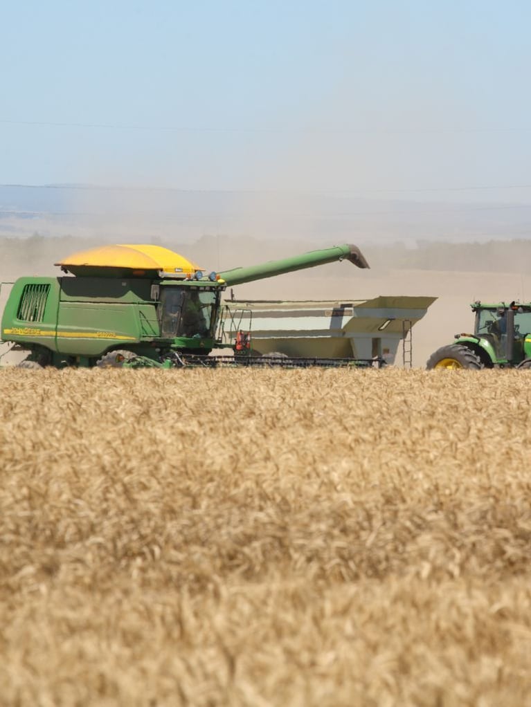 Julia header picture .jpg