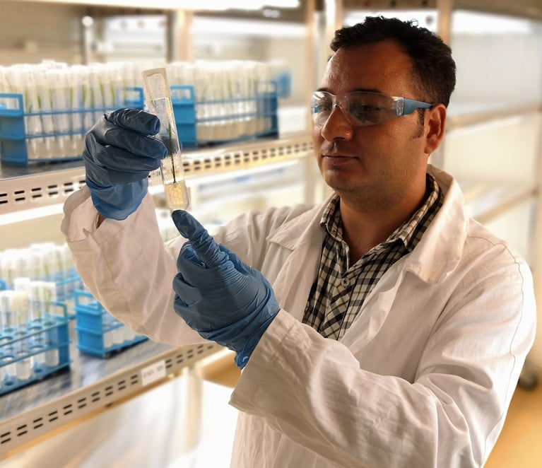 researcher_checks_seedlings_in_a_lab.jpg