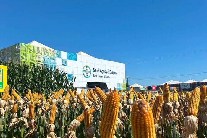 bayer inova solucoes protecao cultivos sementes ponta show rural coopavel