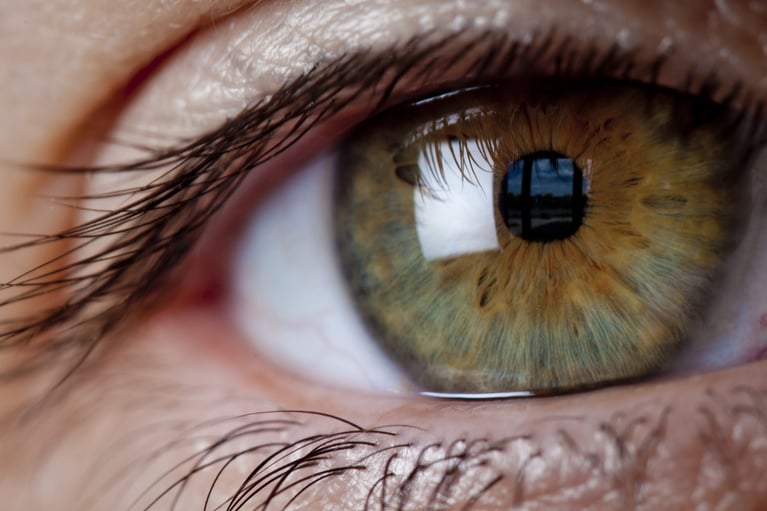 eye.jpg