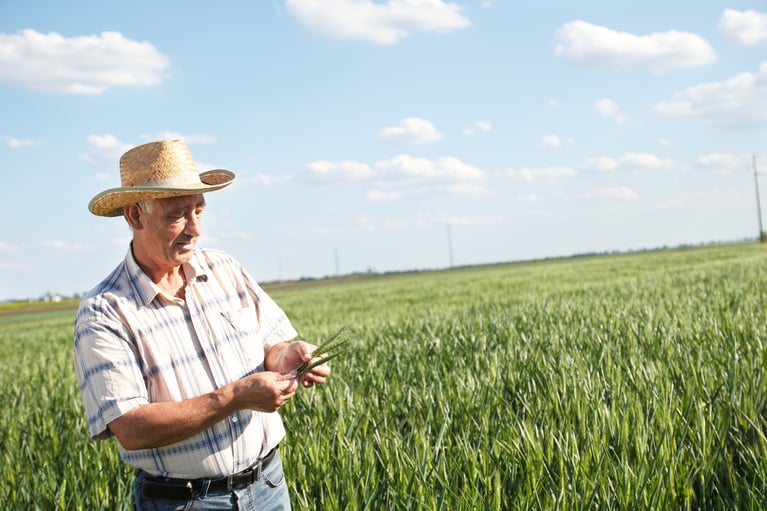 farmer_inspecting_crop_9.jpg