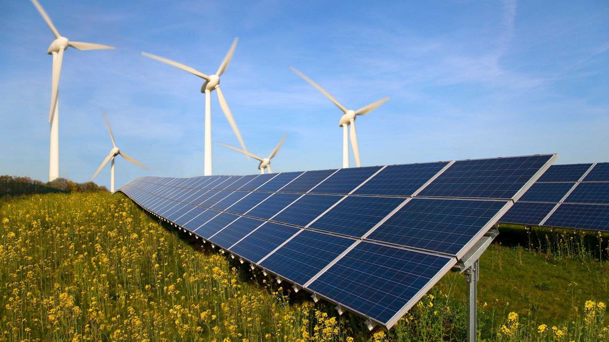 solar panels and wind turbines