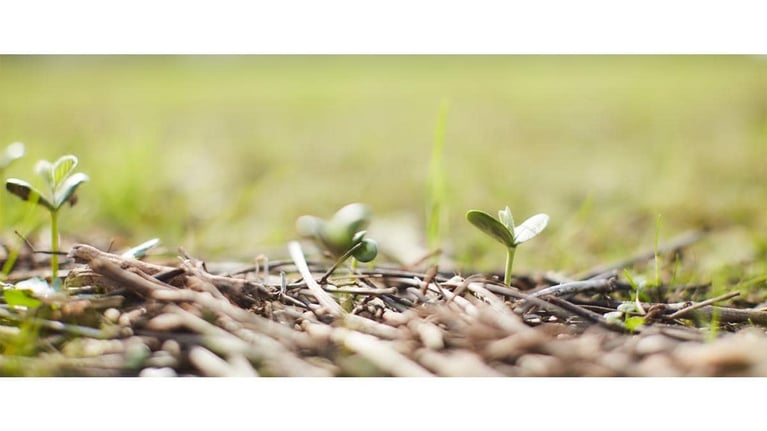 B02 monsanto b roll 1012