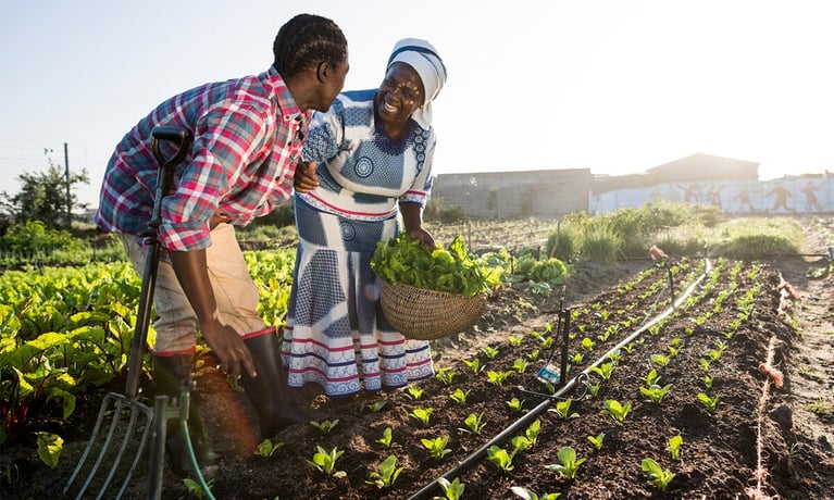 African_farmers_in_a_vegetable_field_1280x720.jpg
