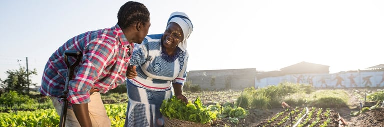 african-farmers-vegetable-field-2.png