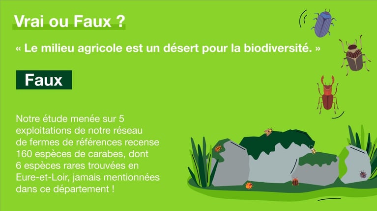 agri-biodiversite-2.jpg