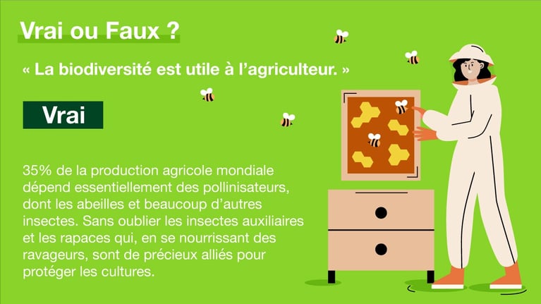 agri-biodiversite-3.jpg