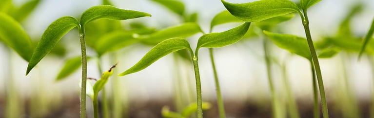 agriculture_biologicals_1440 (1)_0.jpg