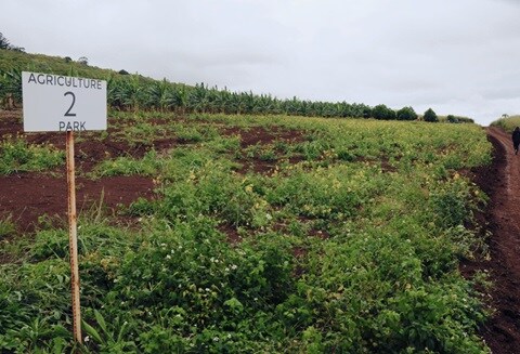 agriculturepark.jpg