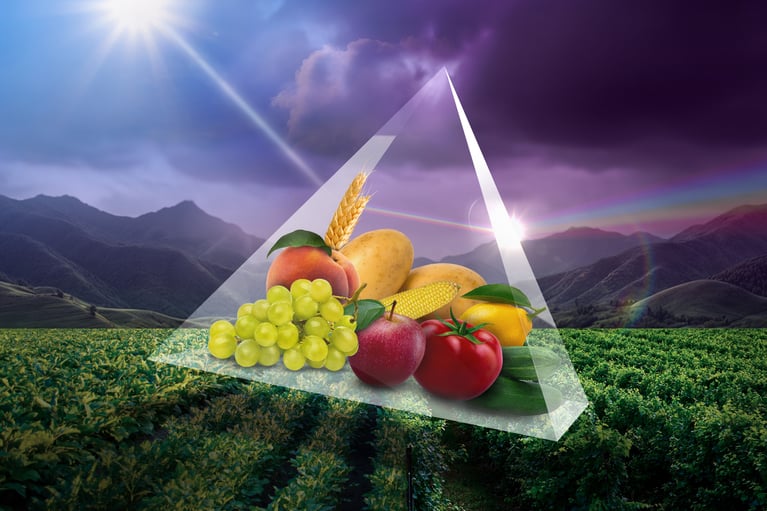 Ambition Prime 1.jpg