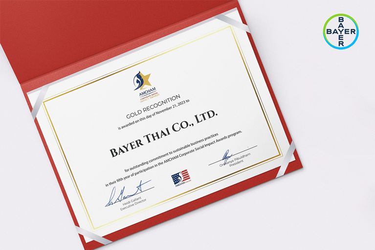 Amcham-Social-Impact-Award-01.png