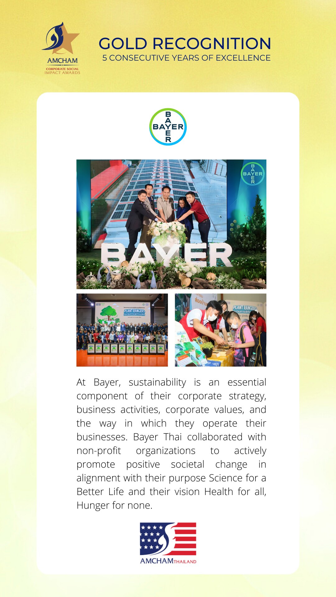 Amcham-Social-Impact-Award-02.png