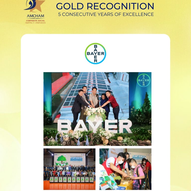 Amcham-Social-Impact-Award-02.png