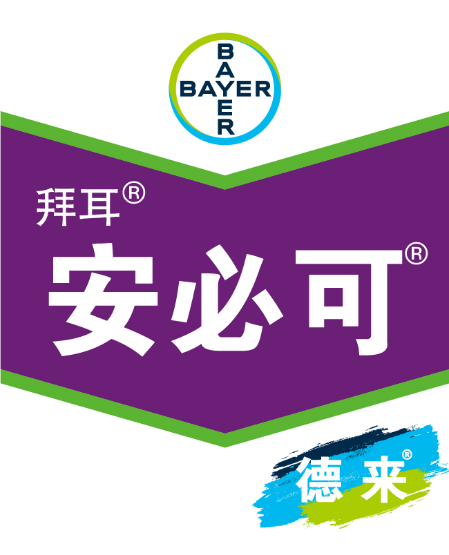 anbikebiaoqian