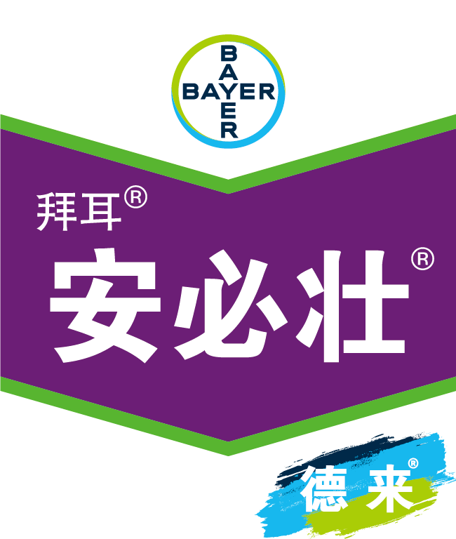 anbizhuang