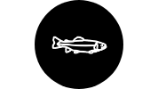 aquatic-organisms.png