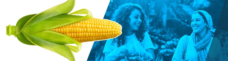 are-gmos-safe2.png