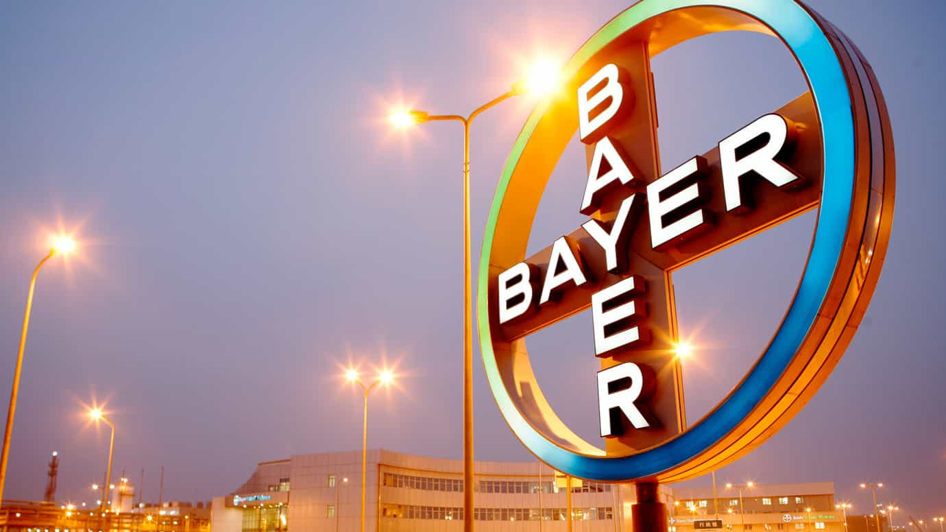 teaser bayer cross