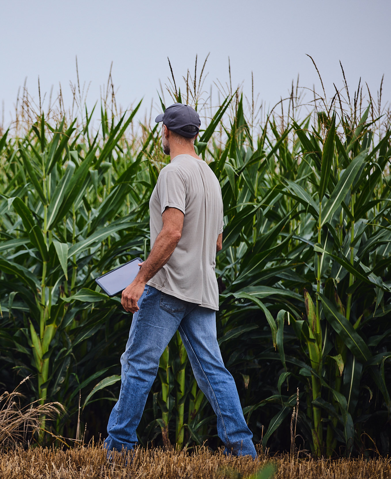 farmer-with-tablet-in-a-cornfield-1.jpg