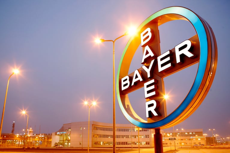 Bayer Cross in Shanghai 5